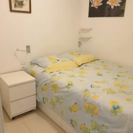 Etoile De - Appt 3 Ch 2 Sdb A 150m D'une De Sable Fin Hyper Equipe & Wifi 公寓 *