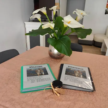 Etoile De - Appt 3 Ch 2 Sdb A 150m D'une De Sable Fin Hyper Equipe & Wifi 滨海圣芒德里耶